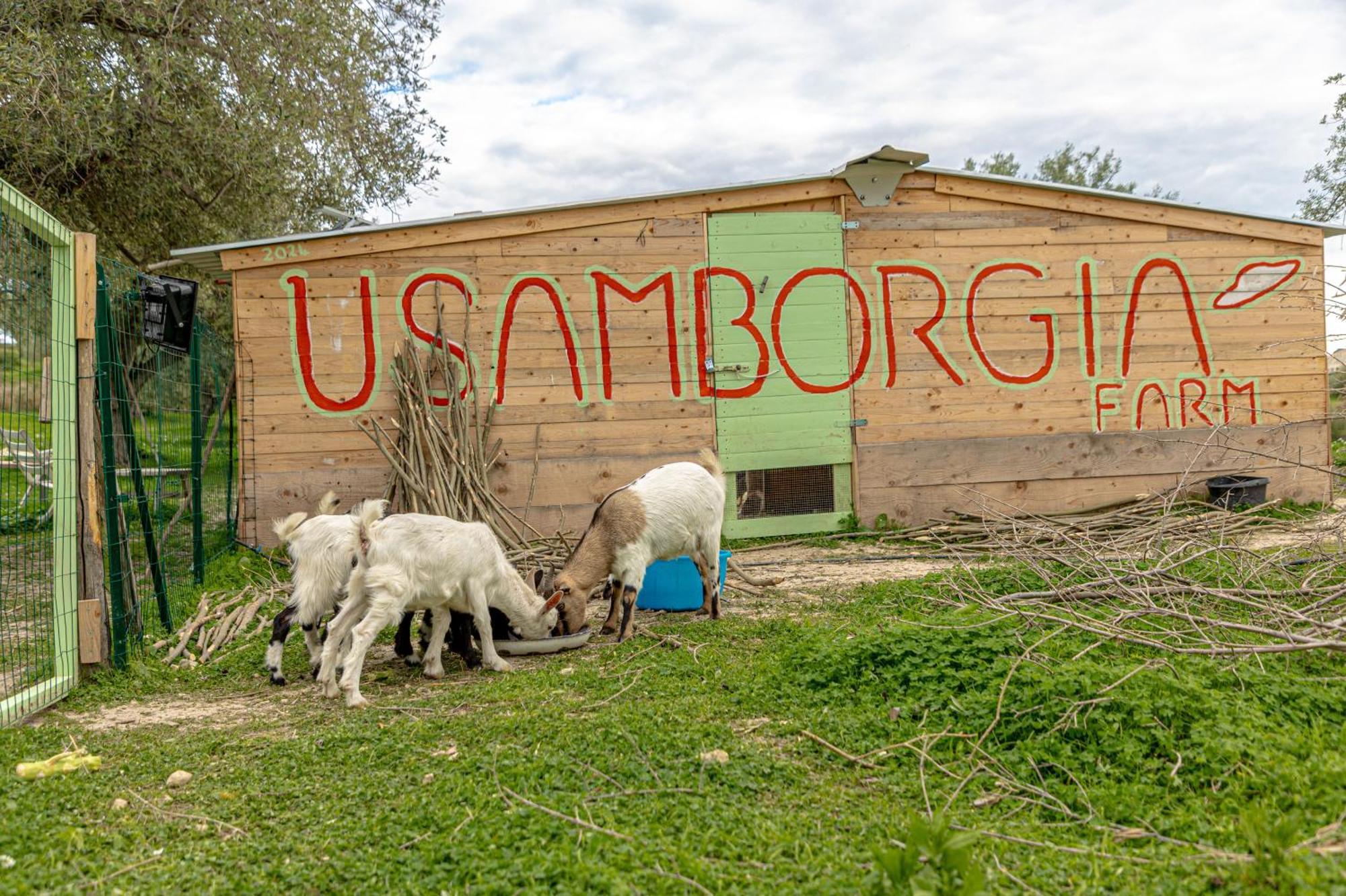 Masseria Usamborgia Noto Exterior photo